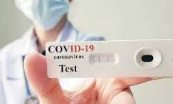 പാലക്കാട് ജില്ലയില്‍ ഇന്ന് 345 പേര്‍ക്ക് കൊവിഡ്; 681 പേര്‍ക്ക് രോഗമുക്തി