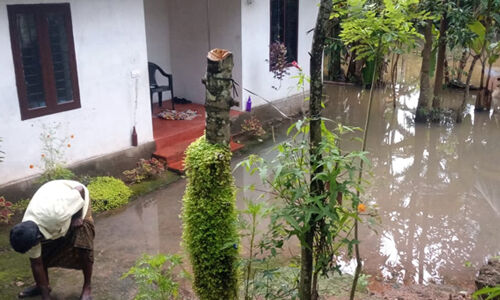 മാളയില് താഴ്ന്ന പ്രദേശങ്ങള് രണ്ടാഴ്ചക്കിടയില് മൂന്നാമതും വെളളക്കെട്ട് ഭീഷണിയില് മാളയില് താഴ്ന്ന പ്രദേശങ്ങള് രണ്ടാഴ്ചക്കിടയില് മൂന്നാമതും വെളളക്കെട്ട് ഭീഷണിയില്