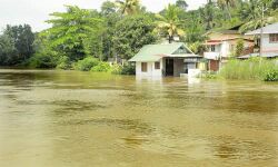 മഴക്കെടുതി: കോട്ടയം ജില്ലയില്‍ 18.02 കോടിയുടെ കൃഷിനാശം