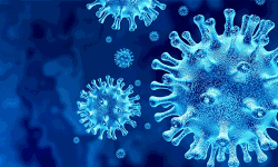 ഖത്തറില് 67 പേര്ക്ക് കൊവിഡ് ഖത്തറില് 67 പേര്ക്ക് കൊവിഡ്