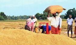 നെല്ല്‌ സംഭരണം: സപ്ലൈകോ, കേരള റൈസ് മില്‍ ഓണേഴ്‌സ് അസോസിയേഷന്‍ പ്രതിനിധികളുമായി ചര്‍ച്ച നടത്തി