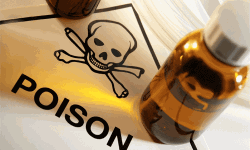 കര്‍ണാടകയില്‍ കൂടത്തായി മോഡല്‍ കൊലപാതകം; മാതാപിതാക്കളടക്കം നാല് പേരെ കൊലപ്പെടുത്തിയത് പതിനേഴുകാരി