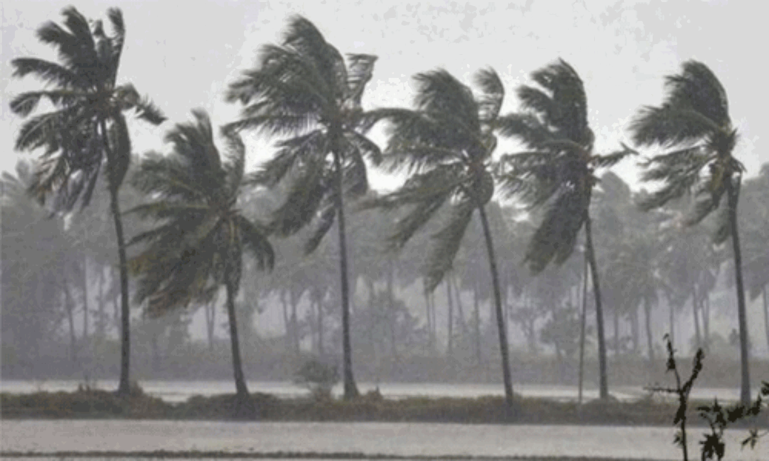 സംസ്ഥാനത്ത് ഇടിയോടുകൂടിയ മഴയ്ക്ക് സാധ്യത; മൂന്ന് ജില്ലകളില് ഓറഞ്ച് അലര്ട്ട് സംസ്ഥാനത്ത് ഇടിയോടുകൂടിയ മഴയ്ക്ക് സാധ്യത; മൂന്ന് ജില്ലകളില് ഓറഞ്ച് അലര്ട്ട്