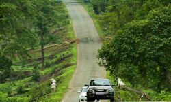 സംസ്ഥാനത്ത് 120 റോഡുകള്‍ നവീകരിക്കുമെന്ന് മന്ത്രി എം വി ഗോവിന്ദന്‍ മാസ്റ്റര്‍