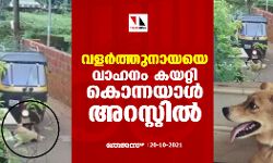 വളർത്തുനായയെ വാഹനം കയറ്റി കൊന്നയാള്‍ അറസ്റ്റിൽ