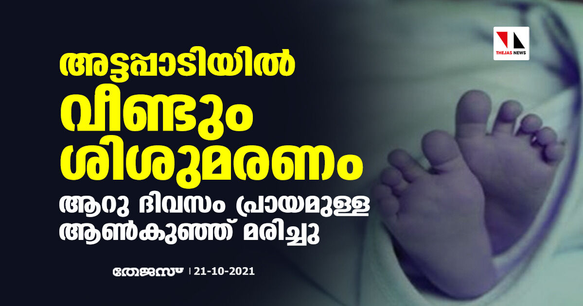 അട്ടപ്പാടിയില്‍ വീണ്ടും ശിശുമരണം; ആറു ദിവസം പ്രായമുള്ള ആണ്‍കുഞ്ഞ് മരിച്ചു