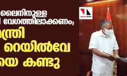 സില്‍വര്‍ ലൈനിനുള്ള അനുമതി വേഗത്തിലാക്കണം; മുഖ്യമന്ത്രി റെയില്‍വേ മന്ത്രിയുമായി ചര്‍ച്ച നടത്തി