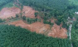 കോടഞ്ചേരിയിൽ വാട്ടര്‍തീം പാർക്കിനായി അനുമതിയില്ലാതെ പാലം നിർമിച്ചു; നടപടിയെടുക്കാതെ അധികൃതർ