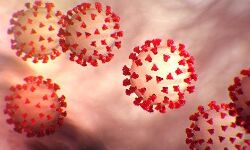 കോട്ടയം ജില്ലയില്‍ 340 പേര്‍ക്ക് കൊവിഡ്; 718 പേര്‍ക്കു രോഗമുക്തി