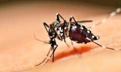 സംസ്ഥാനത്തെ ജലജന്യ രോഗങ്ങള്‍ കുറഞ്ഞു; കൊതുകുജന്യ, ജന്തുജന്യ രോഗങ്ങള്‍ വര്‍ധിച്ചു