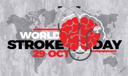 ഒക്ടോബര്‍ 29-ലോക സ്‌ട്രോക്ക് ദിനം: രോഗ ലക്ഷണമാരംഭിച്ച് നാലര മണിക്കൂറിനുള്ളില്‍ ചികിത്സ ഉറപ്പാക്കണം