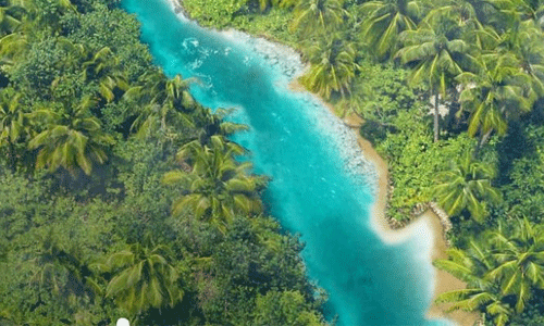 ഇന്ന് കേരളപിറവി; രൂപീകൃതമായിട്ട് ഇന്നേക്ക് 65 വര്ഷം ഇന്ന് കേരളപിറവി; രൂപീകൃതമായിട്ട് ഇന്നേക്ക് 65 വര്ഷം