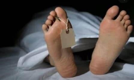 ഗുഡ്സ് ഓട്ടോ പാടശേഖരത്തിലേക്ക് മറിഞ്ഞു 2 തൊഴിലാളികള് മരിച്ചു ഗുഡ്സ് ഓട്ടോ പാടശേഖരത്തിലേക്ക് മറിഞ്ഞു 2 തൊഴിലാളികള് മരിച്ചു