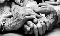 เดตเดฏเตเดเดจเดเตเดเดณเตโเดเตเดเดพเดฏเดฟ 14567 เดเตเดณเตโ เดซเตเดฐเต เดนเตเดฒเตโเดชเต เดฒเตเดจเตโ เดชเตเดฐเดตเดฐเตโเดคเตเดคเดจเดฎเดพเดฐเดเดญเดฟเดเตเดเต เดตเดฏเตเดเดจเดเตเดเดณเตโเดเตเดเดพเดฏเดฟ 14567 เดเตเดณเตโ เดซเตเดฐเต เดนเตเดฒเตโเดชเต เดฒเตเดจเตโ เดชเตเดฐเดตเดฐเตโเดคเตเดคเดจเดฎเดพเดฐเดเดญเดฟเดเตเดเต