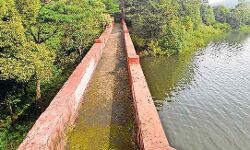 മുല്ലപ്പെരിയാര്‍ ബേബി ഡാമിലെ മരങ്ങള്‍ വെട്ടാമെന്ന് കേരളം; നന്ദി പറഞ്ഞ് സ്റ്റാലിന്‍