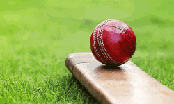 മലപ്പുറം ജില്ലാ ക്രിക്കറ്റ് ടീം തിരഞ്ഞെടുപ്പ്