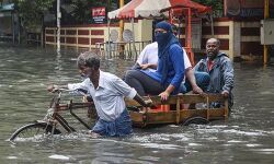 മഴ കനത്തു; തമിഴ്‌നാട്ടില്‍ നാല് ജില്ലകളില്‍ സ്‌കൂളുകള്‍ അടച്ചു