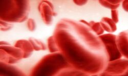 മൂന്ന് അന്തര്‍ദേശീയ പുരസ്‌കാരങ്ങളുമായി ഹീമോഫീലിയ ആരോഗ്യ കേന്ദ്രം