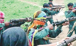 വയനാട്ടില്‍ രണ്ട് മാവോവാദി പ്രവര്‍ത്തകര്‍ അറസ്റ്റിലായതായി സൂചന