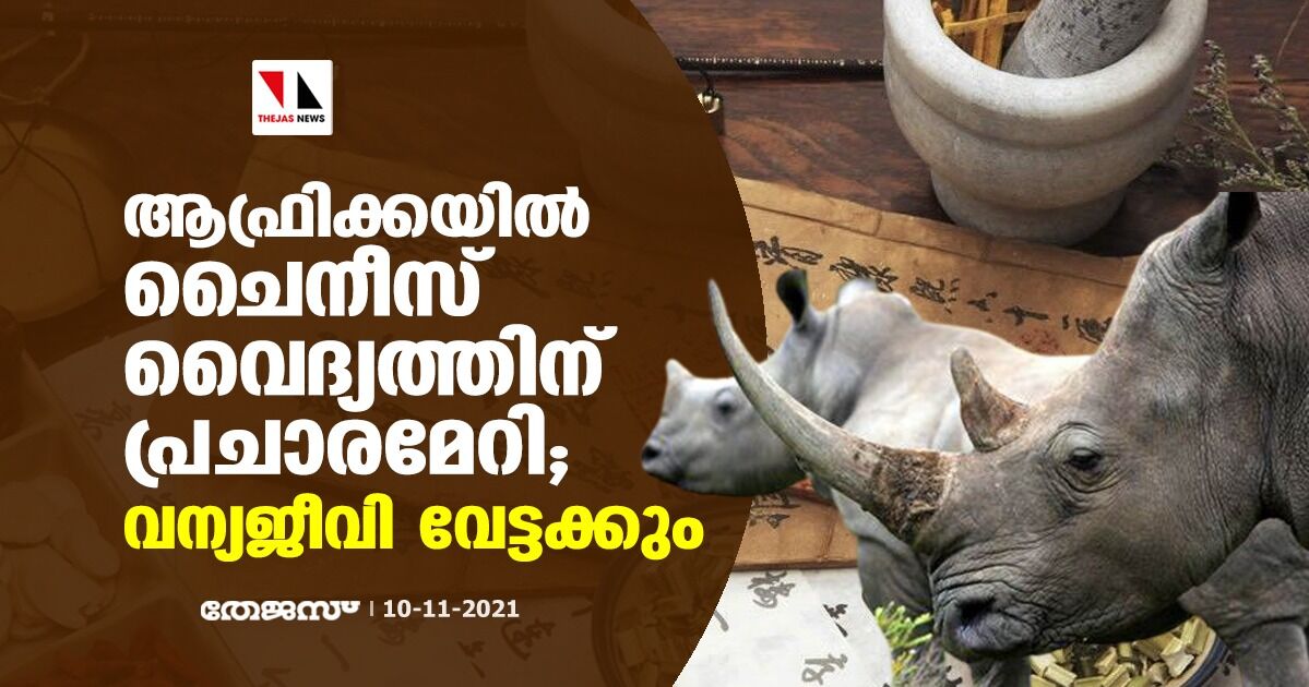 ആഫ്രിക്കയില്‍ ചൈനീസ് വൈദ്യത്തിന് പ്രചാരമേറി; വന്യജീവി വേട്ടക്കും