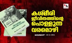 കശ്മീരി ജീവിതത്തിന്റെ പൊള്ളുന്ന വരമൊഴി