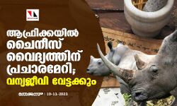 ആഫ്രിക്കയില്‍ ചൈനീസ് വൈദ്യത്തിന് പ്രചാരമേറി; വന്യജീവി വേട്ടക്കും