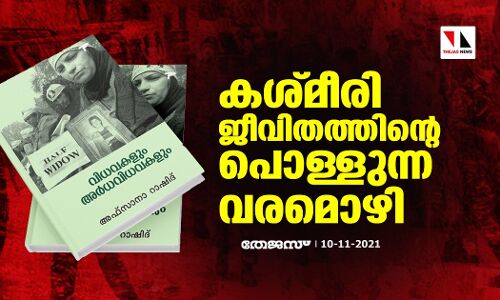 കശ്മീരി ജീവിതത്തിന്റെ പൊള്ളുന്ന വരമൊഴി