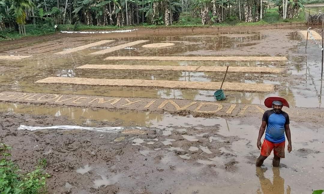 വേറിട്ട കൃഷിരീതിയുമായി യുവകര്ഷകന് വേറിട്ട കൃഷിരീതിയുമായി യുവകര്ഷകന്