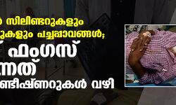 ഓക്‌സിജന്‍ സിലിണ്ടറുകളും ഹുമിഡിഫറുകളും പച്ചപ്പാവങ്ങള്‍; ബ്ലാക് ഫംഗസ് പകര്‍ന്നത് എയര്‍ കണ്ടീഷ്ണറുകള്‍ വഴി