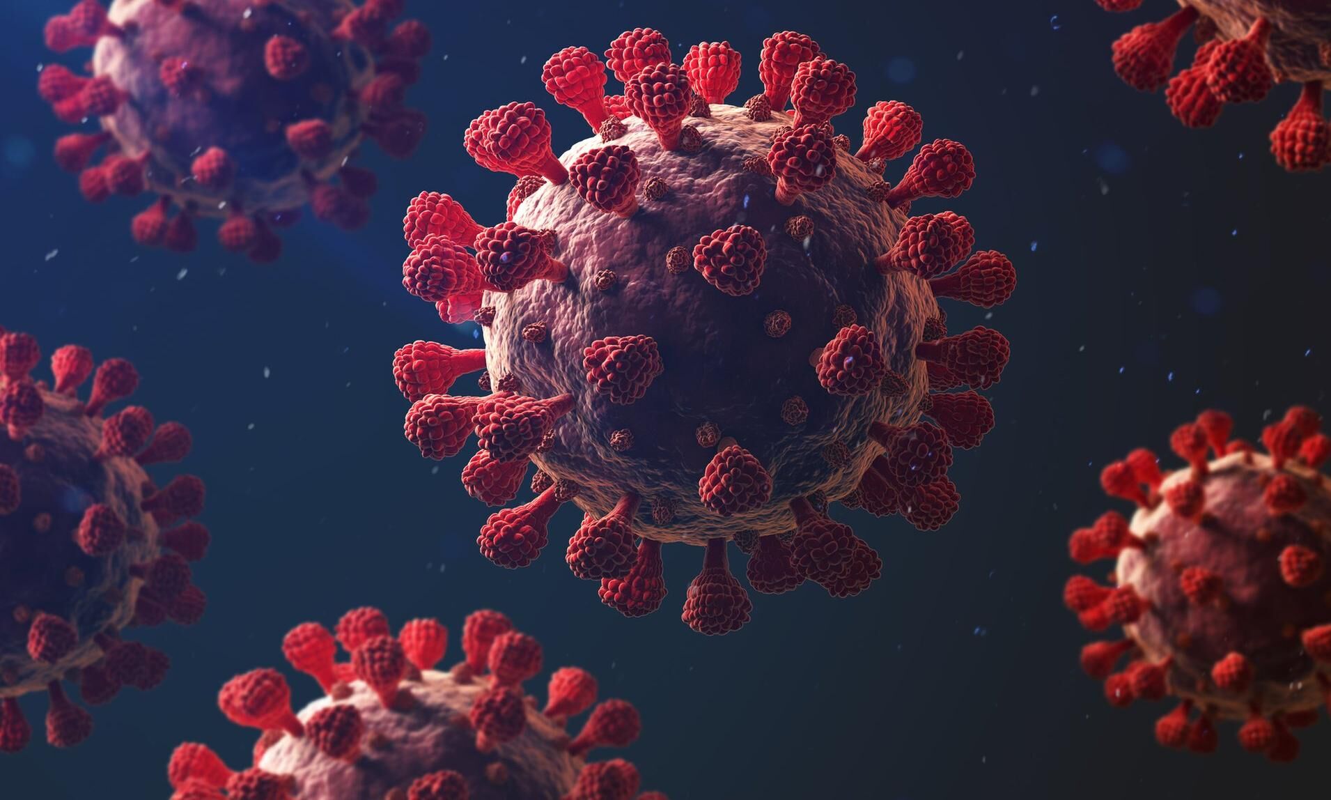 കോഴിക്കോട് ജില്ലയില്‍ ഇന്ന് 748 പേര്‍ക്ക് കൊവിഡ്; രോഗമുക്തി 616, ടി.പി.ആര്‍: 11.46 ശതമാനം