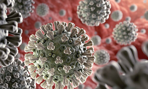 രാജ്യത്ത് 8,865 പേര്‍ക്ക് കൊവിഡ്; 287 ദിവസത്തിനുളളില്‍ ഏറ്റവും കുറവ് രോഗബാധ