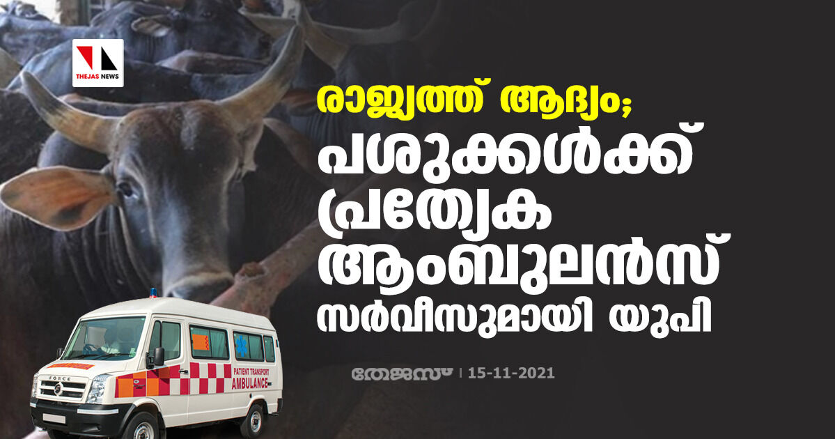 രാജ്യത്ത് ആദ്യം; പശുക്കള്ക്ക് പ്രത്യേക ആംബുലന്സ് സര്വീസുമായി യുപി രാജ്യത്ത് ആദ്യം; പശുക്കള്ക്ക് പ്രത്യേക ആംബുലന്സ് സര്വീസുമായി യുപി