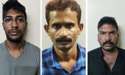 പെരിന്തല്‍മണ്ണയിലും മങ്കടയിലും മയക്കുമരുന്ന് വേട്ട: മാരക മയക്കുമരുന്നുമായി മൂന്ന് പേര്‍ പിടിയില്‍