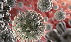 എറണാകുളം ജില്ലയില്‍ ഇന്ന് 616 പേര്‍ക്ക് കൊവിഡ് ; ടെസ്റ്റ് പോസിറ്റിവിറ്റി നിരക്ക് 7.53 %