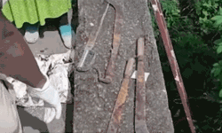 പാലക്കാട്ട് ദേശീയപാതയ്ക്കരികില് ആയുധങ്ങള് ഉപേക്ഷിച്ചനിലയില് കണ്ടെത്തി പാലക്കാട്ട് ദേശീയപാതയ്ക്കരികില് ആയുധങ്ങള് ഉപേക്ഷിച്ചനിലയില് കണ്ടെത്തി