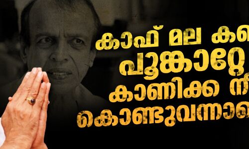 കാഫ് മല കണ്ട പൂങ്കാറ്റേ  കാണിക്ക നീ കൊണ്ടുവന്നാട്ടെ...