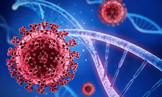 കോഴിക്കോട് ജില്ലയില് 932 പേര്ക്ക് കൊവിഡ് കോഴിക്കോട് ജില്ലയില് 932 പേര്ക്ക് കൊവിഡ്