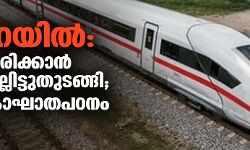 കെ റെയിൽ: ഭൂവിടം തിരിക്കാൻ അതിരുകല്ലിട്ടു തുടങ്ങി; സാമൂഹികാഘാതപഠനം നടത്തും