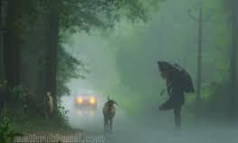 സംസ്ഥാനത്ത് ഇന്ന് അതിശക്ത മഴക്ക് സാധ്യത; മലയോര മേഖലയില് ജാഗ്രതാ നിര്ദേശം സംസ്ഥാനത്ത് ഇന്ന് അതിശക്ത മഴക്ക് സാധ്യത; മലയോര മേഖലയില് ജാഗ്രതാ നിര്ദേശം