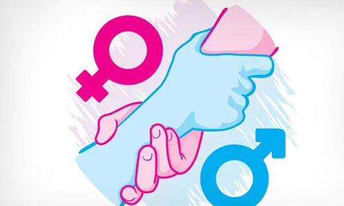 സ്ത്രീ പുരുഷ സമത്വം: സാസ്‌കാരിക വകുപ്പിന്റെ സമം പദ്ധതി ഡിസംബറില്‍