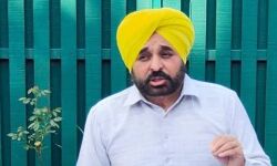 രാജ്യസഭ തിരഞ്ഞെടുപ്പ്: പഞ്ചാബില്‍നിന്ന് എഎപി മല്‍സരിപ്പിക്കുന്നത് രണ്ട് പത്മശ്രീ പുരസ്‌കാരജേതാക്കളെ