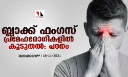 ബ്ലാക്ക് ഫംഗസ് പ്രമേഹരോഗികളിൽ കൂടുതൽ: പഠനം