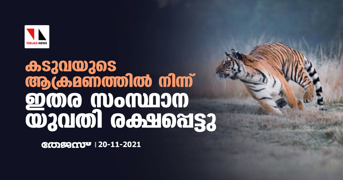 കടുവയുടെ ആക്രമണത്തില്‍ നിന്ന് ഇതര സംസ്ഥാന യുവതി രക്ഷപ്പെട്ടു