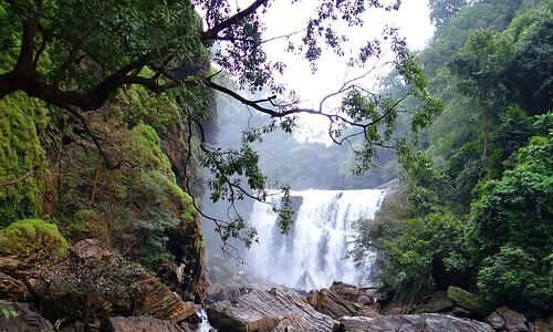ഉരുള്പൊല് ഭീഷണിക്ക് പരിഹാരം; പശ്ചിമഘട്ട മേഖലയിലെ നീര്ച്ചാല് ശൃംഖലകള് പുനരുജ്ജീവിപ്പിക്കും ഉരുള്പൊല് ഭീഷണിക്ക് പരിഹാരം; പശ്ചിമഘട്ട മേഖലയിലെ നീര്ച്ചാല് ശൃംഖലകള് പുനരുജ്ജീവിപ്പിക്കും