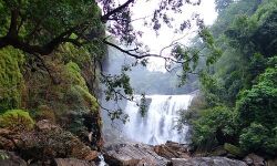 ഉരുള്‍പൊല്‍ ഭീഷണിക്ക് പരിഹാരം; പശ്ചിമഘട്ട മേഖലയിലെ നീര്‍ച്ചാല്‍ ശൃംഖലകള്‍ പുനരുജ്ജീവിപ്പിക്കും