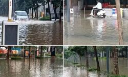 เดฆเตเดฐเดฟเดคเดชเตเดชเตเดฏเตเดคเตเดคเต; เดฌเดเดเดณเตเดฐเตเดตเดฟเดฒเตเด เดเตเดจเตเดจเตเดฏเดฟเดฒเตเด เดตเตเดณเตเดณเดชเตเดชเตเดเตเดเด เดฐเตเดเตเดทเด, เดตเตเดเตเดเดณเตเด เดฑเตเดกเตเดเดณเตเด เดฎเตเดเตเดเดฟ เดฆเตเดฐเดฟเดคเดชเตเดชเตเดฏเตเดคเตเดคเต; เดฌเดเดเดณเตเดฐเตเดตเดฟเดฒเตเด เดเตเดจเตเดจเตเดฏเดฟเดฒเตเด เดตเตเดณเตเดณเดชเตเดชเตเดเตเดเด เดฐเตเดเตเดทเด, เดตเตเดเตเดเดณเตเด เดฑเตเดกเตเดเดณเตเด เดฎเตเดเตเดเดฟ