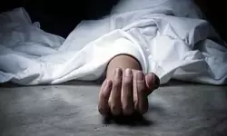 ഇരുമ്പ് തോട്ടികൊണ്ട് വിറക് ഒടിക്കുന്നതിനിടെ വൈദ്യുതാഘാതമേറ്റ് യുവതി മരിച്ചു