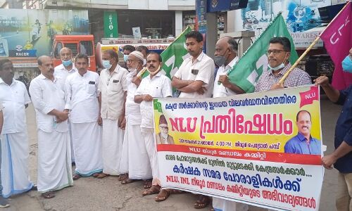 ഇന്ധന വില വർധനവിനെതിരേ എൻഎൽയു പ്രതിഷേധ ധർണ്ണ നടത്തി
