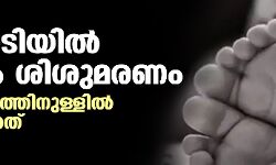 അട്ടപ്പാടിയിൽ വീണ്ടും ശിശുമരണം; നാല് ദിവസത്തിനുള്ളിൽ മൂന്നാമത്തേത്
