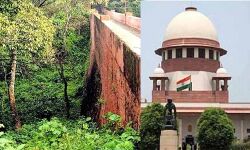 മുല്ലപ്പെരിയാറില്‍ മരംമുറിക്ക് അനുമതി തേടി തമിഴ്‌നാട് സുപ്രിംകോടതിയില്‍